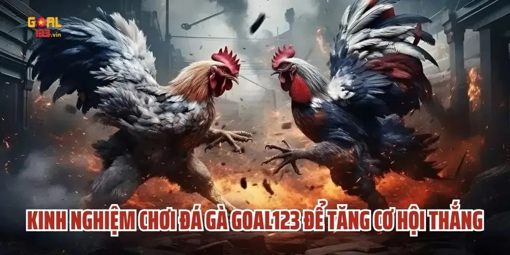 Kinh Nghiệm Chơi Đá Gà Goal123 Để Tăng Cơ Hội Thắng